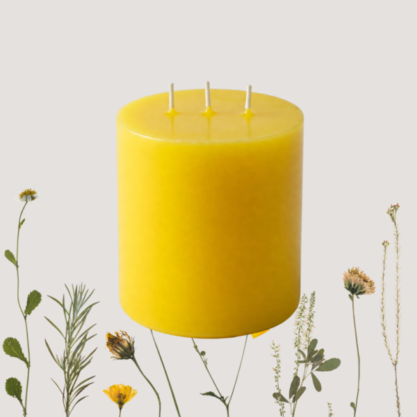 3-Wick Ananas Comosus Scented Aroma Candle - Image 3