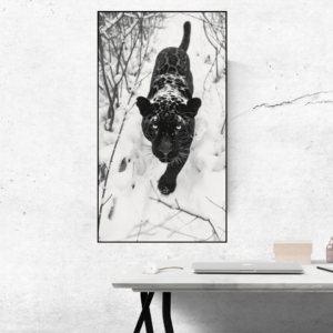 Frozen Hunt – Black Panther in Snow Canvas Wall Art