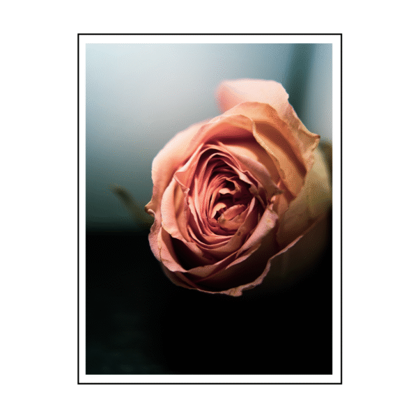 Petal's Embrace Canvas Painting Art O Hub - Image 3