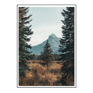Alpine Majesty Canvas Painting Art O Hub