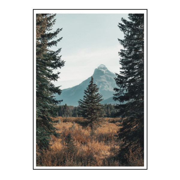 Alpine Majesty Canvas Painting Art O Hub